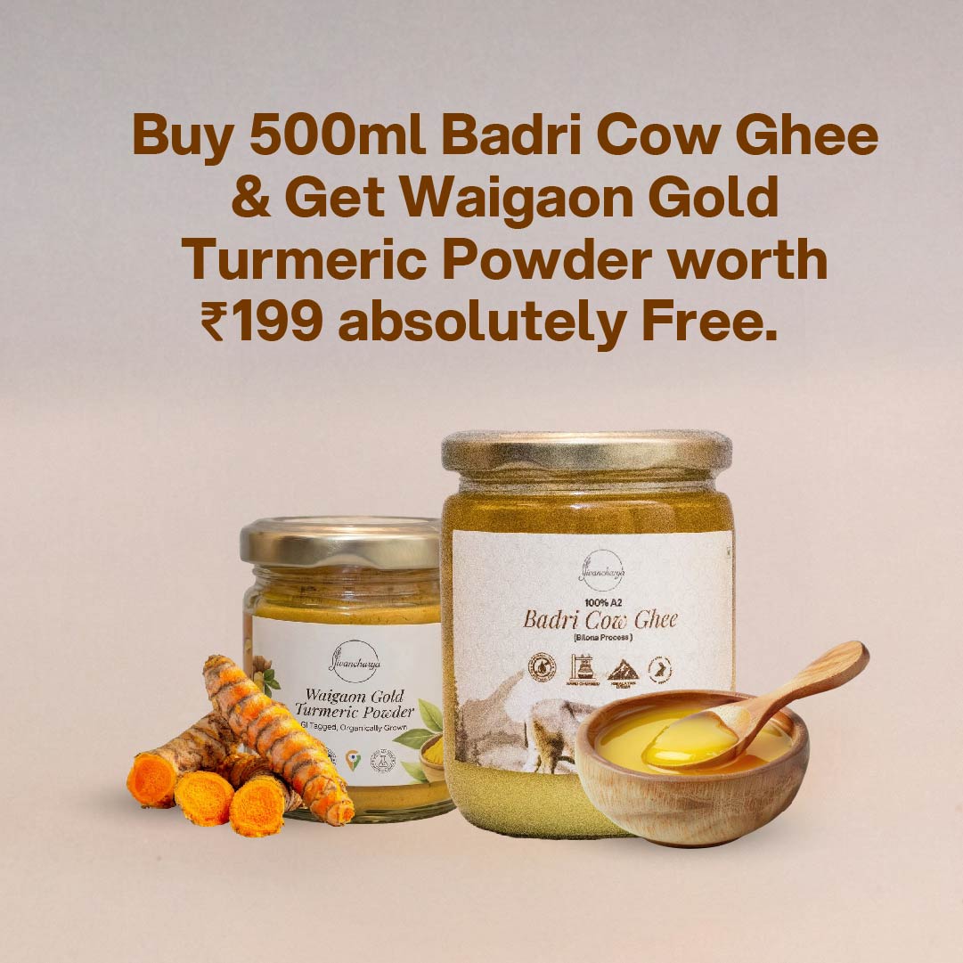 Organic A2 Bilona Badri Cow Ghee 500ml thumbnail 3